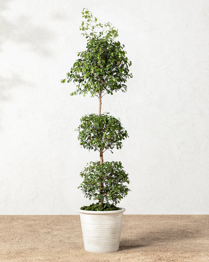 Canton Ceramic Planter