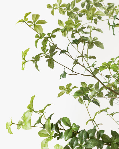 Faux Japanese Quince Tree