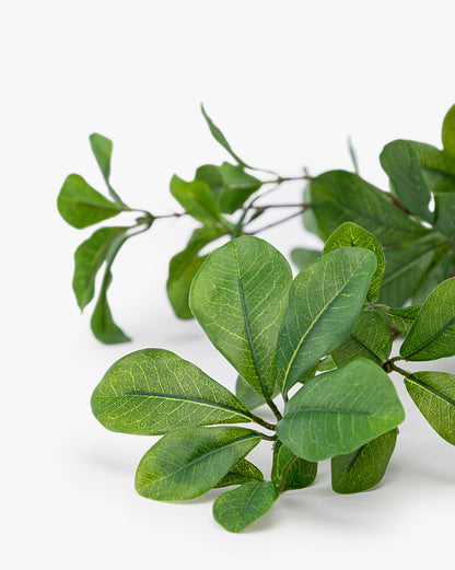 Faux Shady Lady Stem