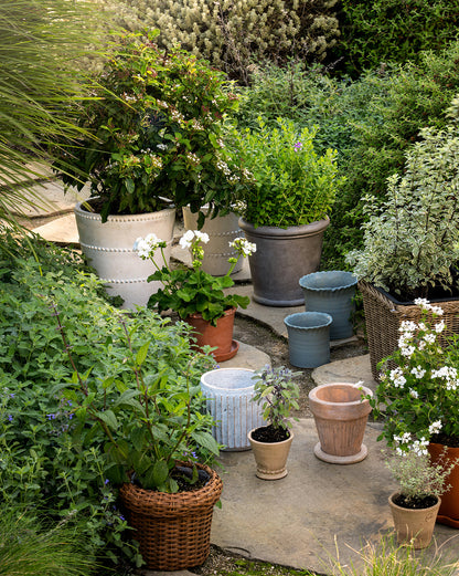 McGee & Co. Terracotta Ripple Planter